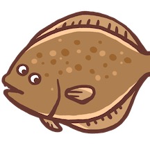 ヒラメ